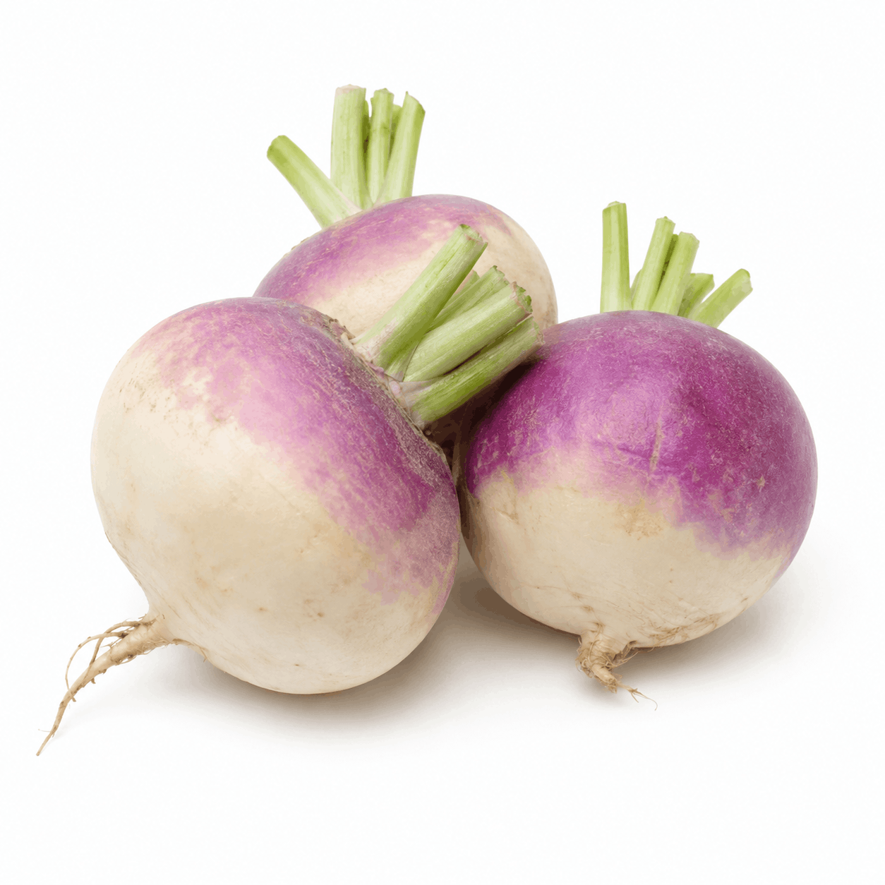 Turnip